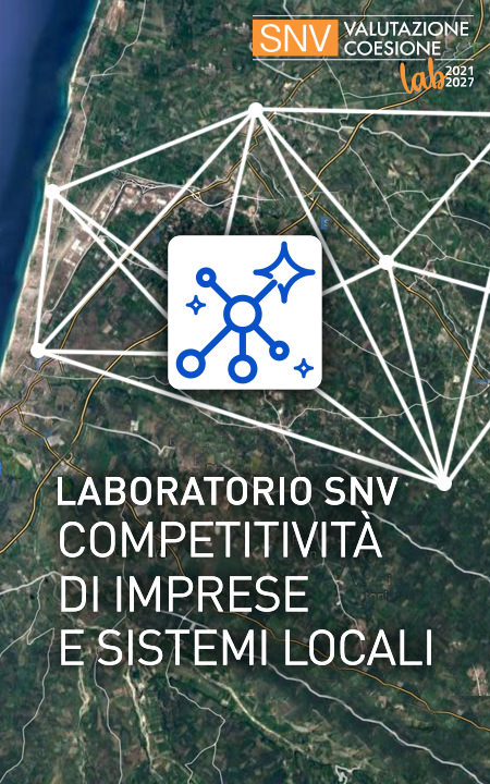 2 SNVlab - Competitività di imprese e Sistemi locali